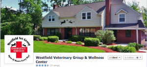 Westfield Veterinary Group and Wellness Center uses a photo of their practice for their cover photo and their logo for their profile photo.