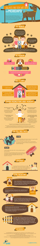 How-pets-find-their-way-home--with-microchips-Infographic