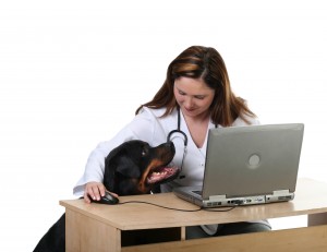 Keep up with veterinary trends by effectively marketing your practice. 