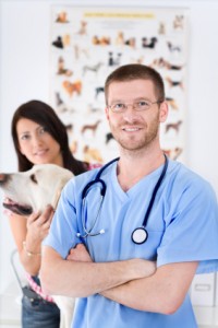 A Smiling Vet and Dog