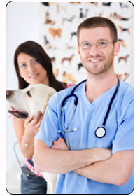 Talk to your clients about pet insurance