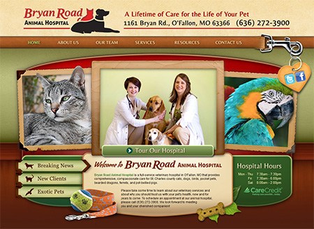 veterinary website design