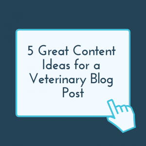5 Great Content Ideas for a Veterinary Blog Post
