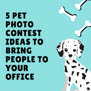 5 Pet Photo Contest Ideas to Bring People to Your Office