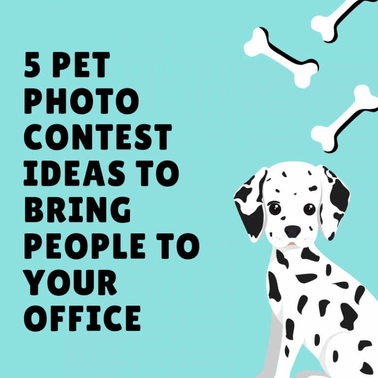 5 Pet Photo Contest Ideas for your Veterinary Office
