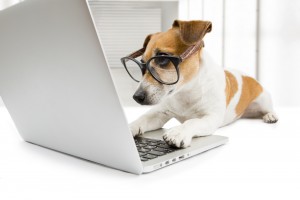 computer dog