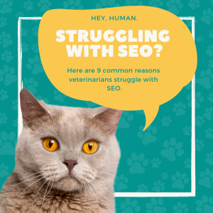 Cat Word Bubble SEO Struggle