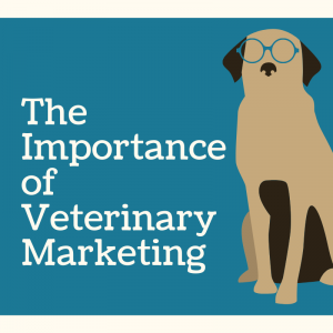 veterinary marketing importance vetnetwork yet comments