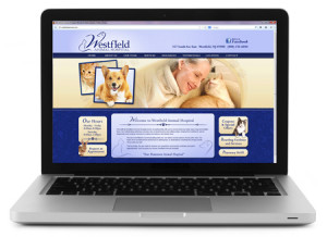Custom website for veterinary practices