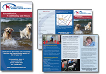 veterinary hospital brochure