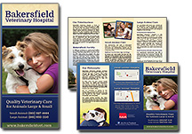 veterinary hospital brochure