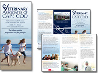 veterinary hospital brochure