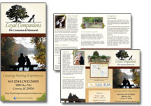 veterinary hospital brochure