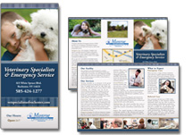 veterinary hospital brochure