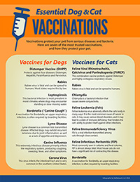 Essential Dog & Cat Vaccinations infographic