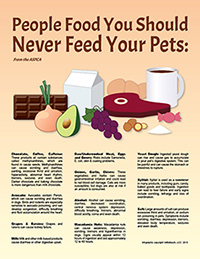 People Food You Should Never Feed Your Pets infographic