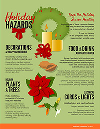 Holiday Pet Hazards infographic