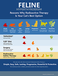 Radioiodine Therapy infographic