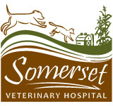 Somerset Veterinary Hospital logo