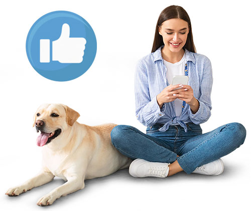 Veterinary Hospital Social Media