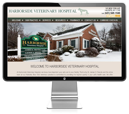 vet web design