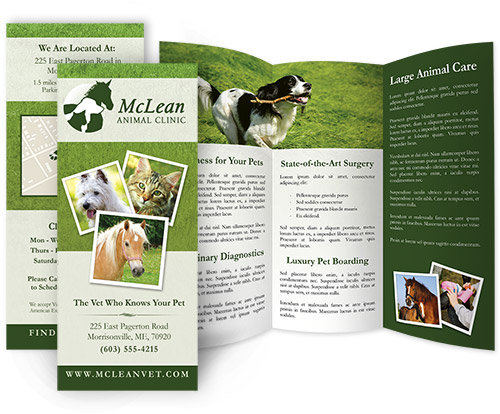 affordable veterinary brochure
