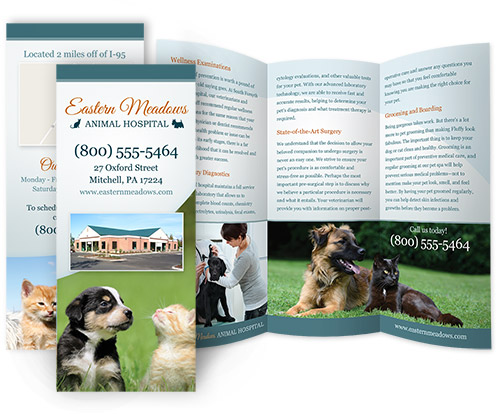 veterinary hospital brochure