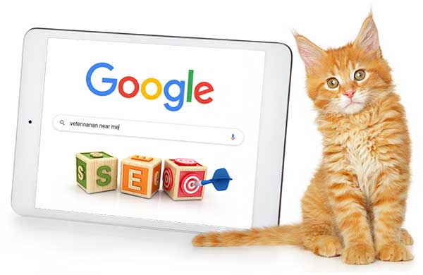 Veterinary SEO | Veterinary Website SEO | VetNetwork