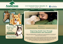 custom veterinary website design