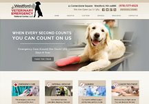 veterinary hospital websites