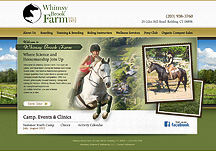 veterinary websites